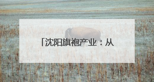 沈阳旗袍产业：从“小众圈层”到“大众国潮”的嬗变