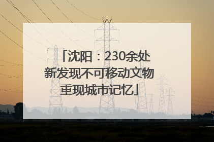 沈阳：230余处新发现不可移动文物重现城市记忆