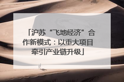 沪苏“飞地经济”合作新模式：以重大项目牵引产业链升级