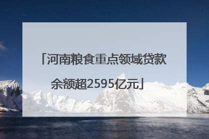 河南粮食重点领域贷款余额超2595亿元