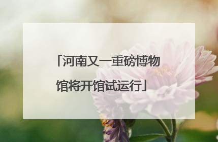 河南又一重磅博物馆将开馆试运行