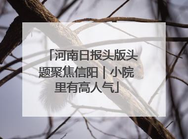 河南日报头版头题聚焦信阳｜小院里有高人气
