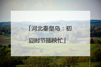 河北秦皇岛：初夏时节插秧忙