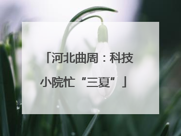 河北曲周：科技小院忙“三夏”
