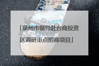 泉州市领导赴台商投资区调研重点招商项目