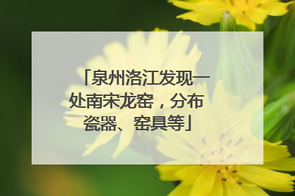 泉州洛江发现一处南宋龙窑，分布瓷器、窑具等