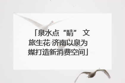 泉水点“睛” 文旅生花 济南以泉为媒打造新消费空间