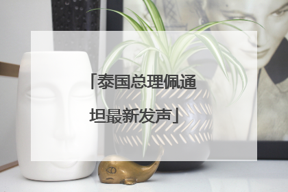 泰国总理佩通坦最新发声