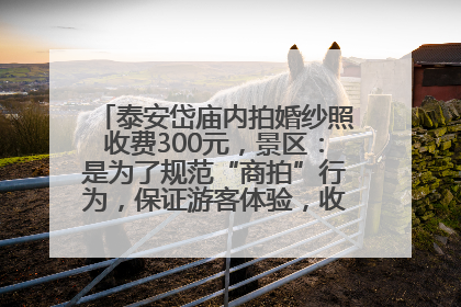 泰安岱庙内拍婚纱照收费300元，景区：是为了规范“商拍”行为，保证游客体验，收取费用全部上交国库