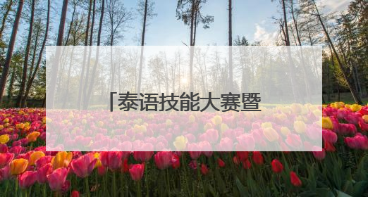 泰语技能大赛暨第十八届广西高校学生泰语演讲公开赛在南宁举办