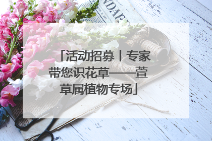 活动招募丨专家带您识花草——萱草属植物专场