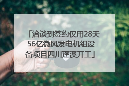洽谈到签约仅用28天 56亿微风发电机组设备项目四川蓬溪开工