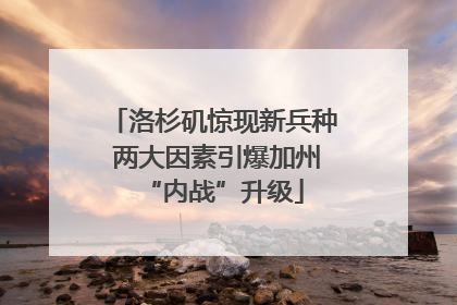 洛杉矶惊现新兵种 两大因素引爆加州“内战”升级