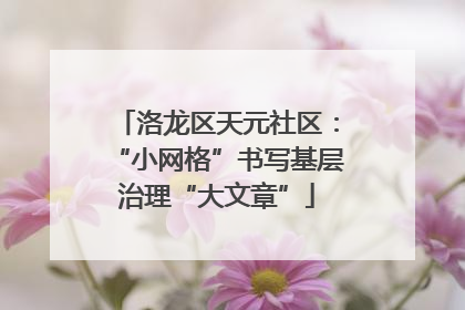 洛龙区天元社区：“小网格”书写基层治理“大文章”