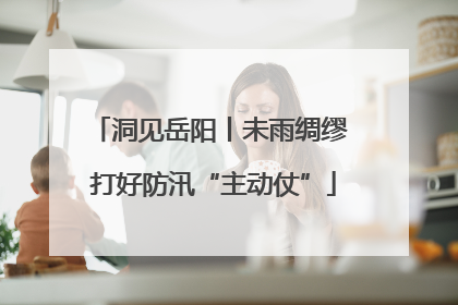 洞见岳阳丨未雨绸缪 打好防汛“主动仗”