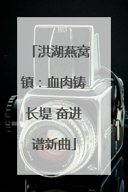洪湖燕窝镇：血肉铸长堤 奋进谱新曲