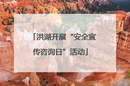 洪湖开展“安全宣传咨询日”活动