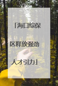 海口综保区释放强劲人才引力