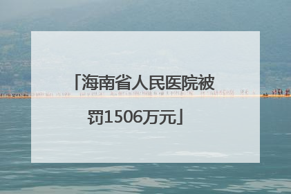 海南省人民医院被罚1506万元