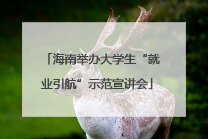 海南举办大学生“就业引航”示范宣讲会