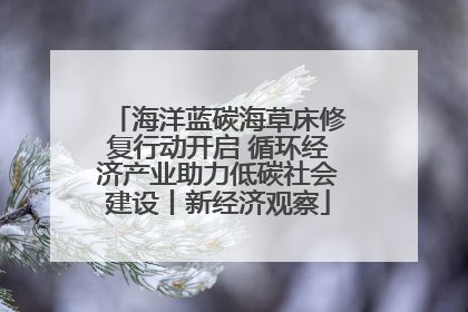 海洋蓝碳海草床修复行动开启 循环经济产业助力低碳社会建设丨新经济观察