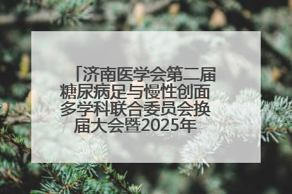 济南医学会第二届糖尿病足与慢性创面多学科联合委员会换届大会暨2025年学术年会成功举行