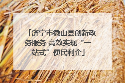 济宁市微山县创新政务服务 高效实现“一站式”便民利企