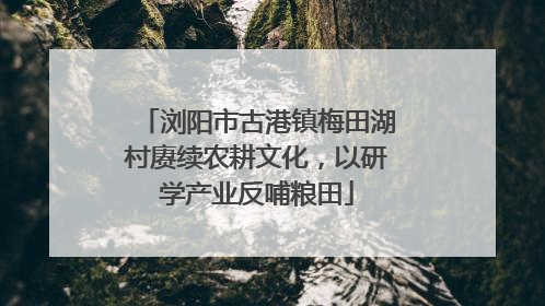浏阳市古港镇梅田湖村赓续农耕文化，以研学产业反哺粮田
