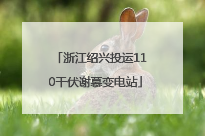 浙江绍兴投运110千伏谢慕变电站