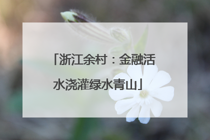 浙江余村：金融活水浇灌绿水青山