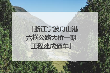 浙江宁波舟山港六横公路大桥一期工程建成通车