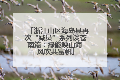 浙江山区海岛县再次“减员”系列谈苍南篇：绿能映山海 风吹共富帆