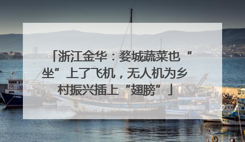 浙江金华：婺城蔬菜也“坐”上了飞机，无人机为乡村振兴插上“翅膀”