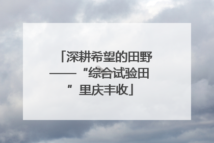 深耕希望的田野——“综合试验田”里庆丰收