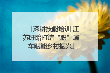 深耕技能培训 江苏盱眙打造“职”通车赋能乡村振兴