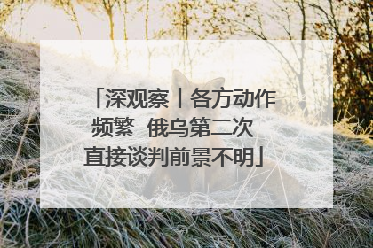 深观察丨各方动作频繁  俄乌第二次直接谈判前景不明