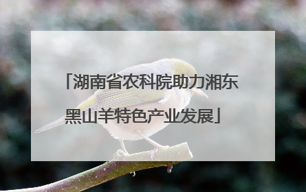 湖南省农科院助力湘东黑山羊特色产业发展