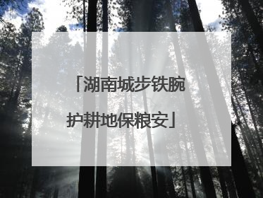 湖南城步铁腕护耕地保粮安