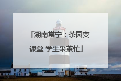 湖南常宁：茶园变课堂 学生采茶忙