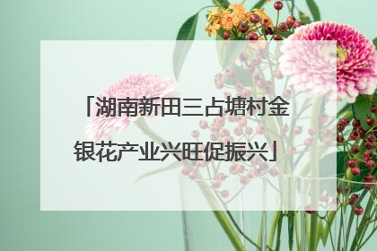 湖南新田三占塘村金银花产业兴旺促振兴