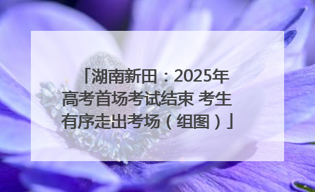 湖南新田：2025年高考首场考试结束 考生有序走出考场（组图）