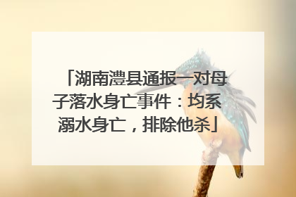 湖南澧县通报一对母子落水身亡事件：均系溺水身亡，排除他杀