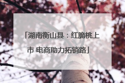 湖南衡山县：红脆桃上市 电商助力拓销路