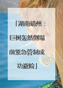 湖南靖州：巨树轰然倒塌前紧急管制成功避险
