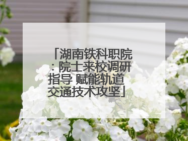 湖南铁科职院：院士来校调研指导 赋能轨道交通技术攻坚