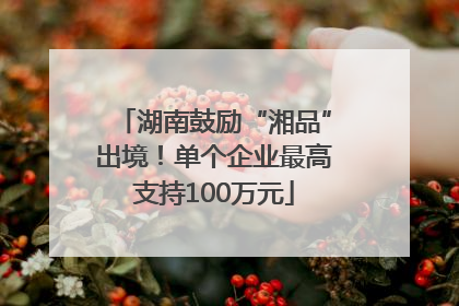 湖南鼓励“湘品”出境！单个企业最高支持100万元