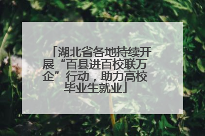 湖北省各地持续开展“百县进百校联万企”行动，助力高校毕业生就业