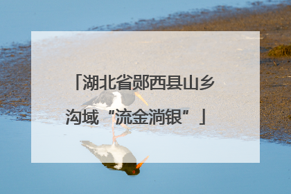 湖北省郧西县山乡沟域“流金淌银”