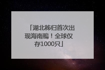 湖北秭归首次出现海南鳽！全球仅存1000只