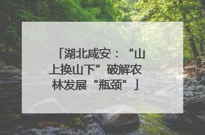 湖北咸安：“山上换山下”破解农林发展“瓶颈”